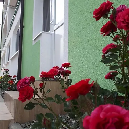Hunyadi Budget Ciresica Apartment *